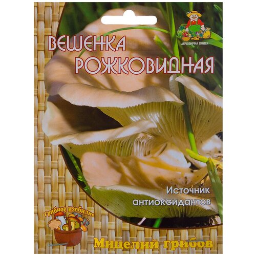 ������ ������ ������� �� ��������� �������� ������� ����������� 12 ��. ����