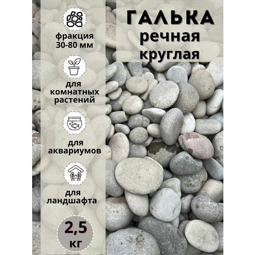 ������ ������ ������ ������ ������� 30-80 �� (2.5��) ��� ���� � ������� � ������������ ������� ����