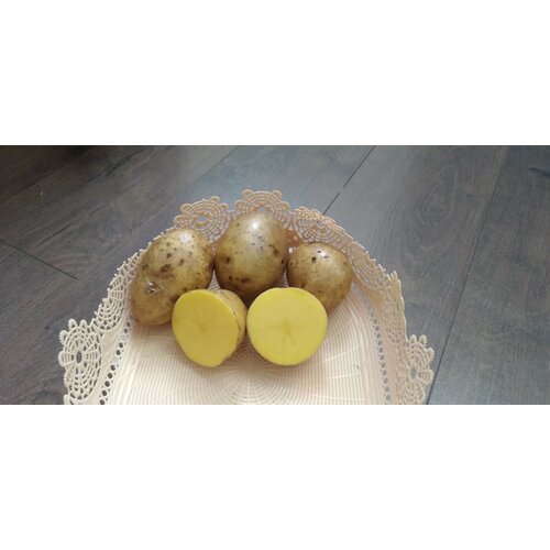 ������ ������ ��������� �������� ����, ���� �����, ������, ���������� ����, 1 �� ����