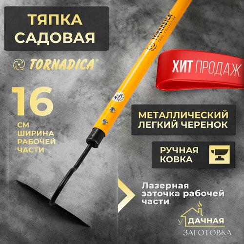 ������ ������ ����� ������� ���������� ����