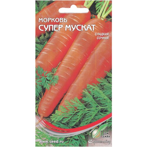 ������ ������ ������� ����� ������ �� �����, 350-380 ����� ����