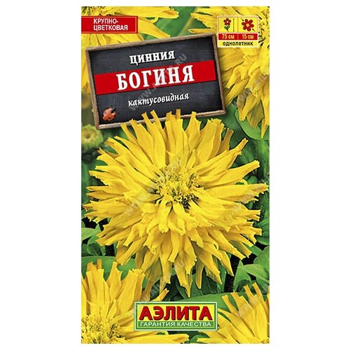 ������ ������ ������ 