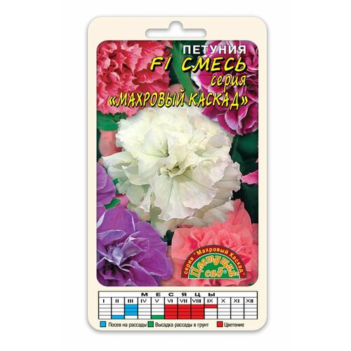 ������ ������ ������� ����������� �������� �������� ������ ������������� ����� ������� (������ �������� ���, 10 ��. � ������) ����