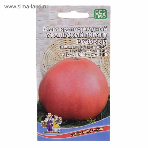 ������ ������ ������ ����� ��������� ������ ������� 20�� ����� (��������� ������) ����