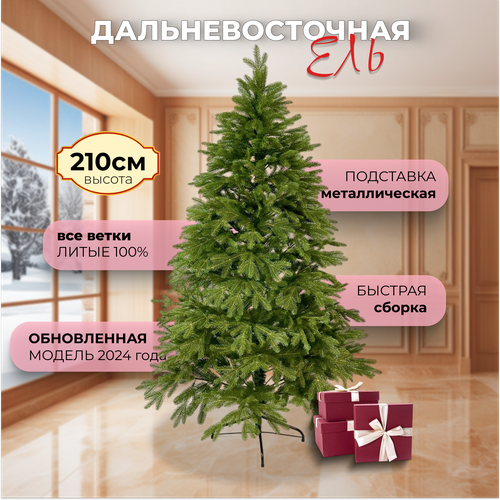 ������ ������ ���� ������������� ����� ����