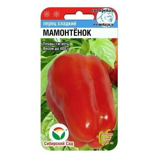 ������ ������ ����� ������� ���������� 15�� ����� ��������� ��� ����