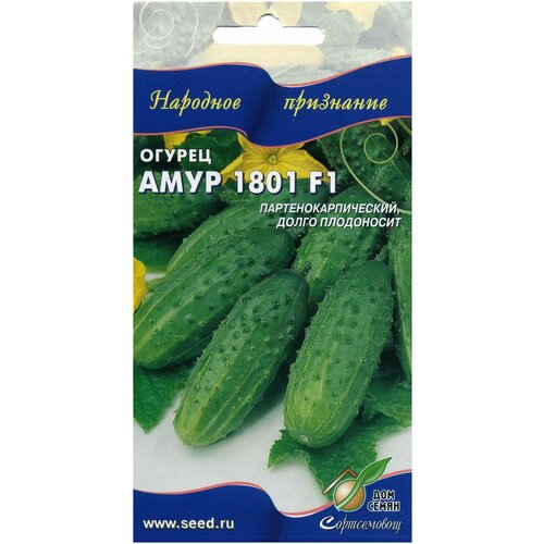 ������ ������ ������ ���� F1 1801 F1, 6 ����� ����