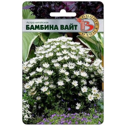 ������ ������ ����� ����� ��������� ������� ���� (������ ���������� 20��) ����