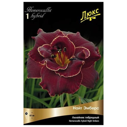 ������ ������ ������. �����. ������� ��������� 