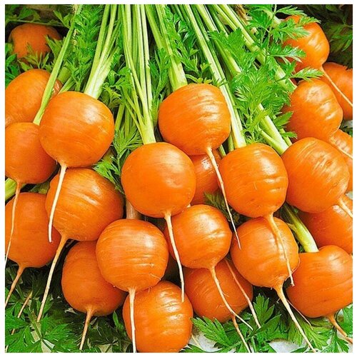 ������ ������ ������ ������ ������� ��������� ����� 50 ��. ����