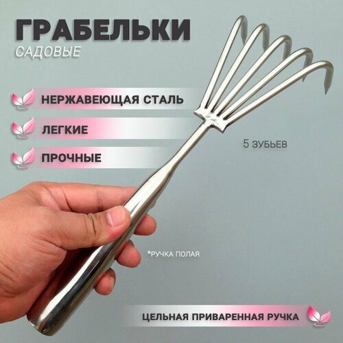 ������ ������ ������ ������� ���� 5 ������ �� ����������� ����� � ������� ����������� ������ ����