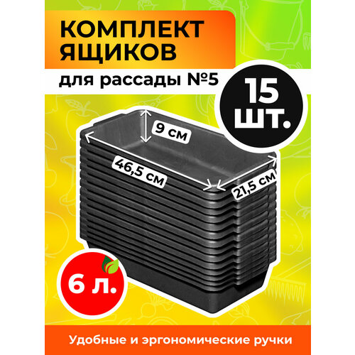 ������ ������ ���� ��� ������� 