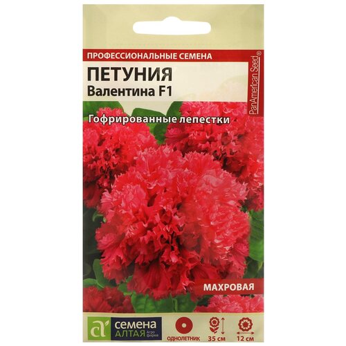 ������ ������ ������ ������ ������� 