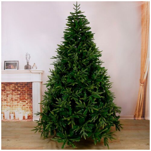 ������ ������ ���� 