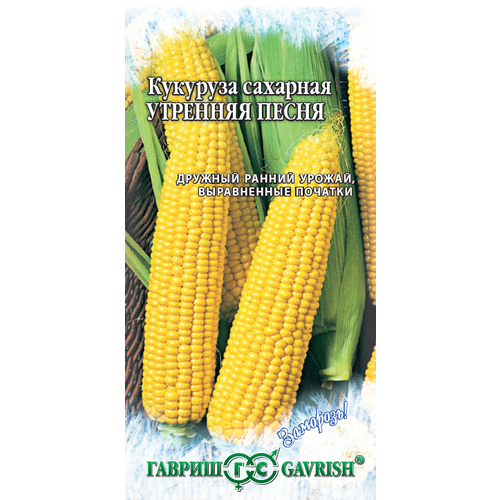 ������ ������ ������ �������� �������� ����� F1 �������� 5� ������ (������) �������� ����