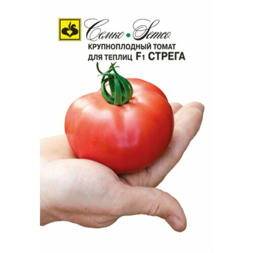 ������ ������ ������ ����� ������ F1 5�� ����� ������ (�����) ����