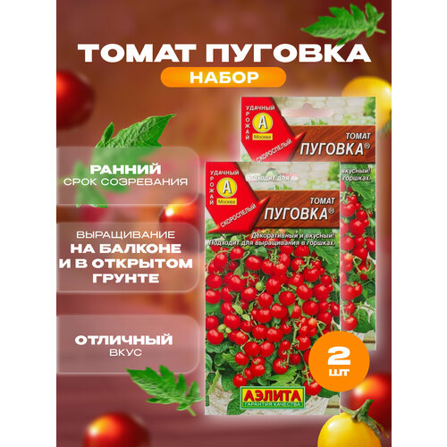 ������ ������ ������ �������, ����� �������, ��� ������� � �����������, ����� 2 ��. ����