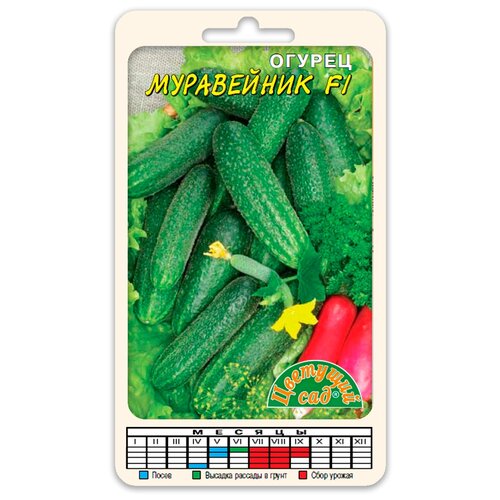 ������ ������ ������ �������� ��� 