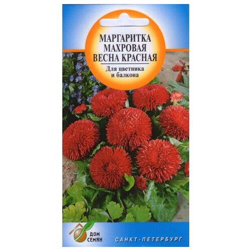 ������ ������ ���������� ����������� ����� �������, 250 ����� ����