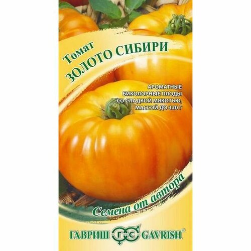 ������ ������ ������ ����� ������ ������, ������������, ������������, (������) 0,1� �21 ����