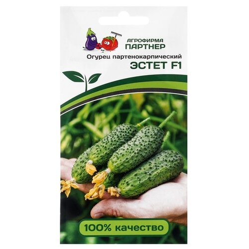 ������ ������ ������ ��������� ������� ������ ����� F1 5 ��. ����