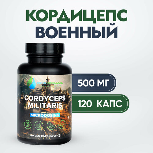 ������ ������ ��������� ������� (�������� ����)-120������ �� 500�� ����