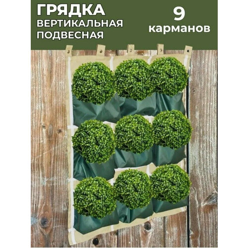 ������ ������ ������ ����������� ������������ ������������� 9 �������� ����