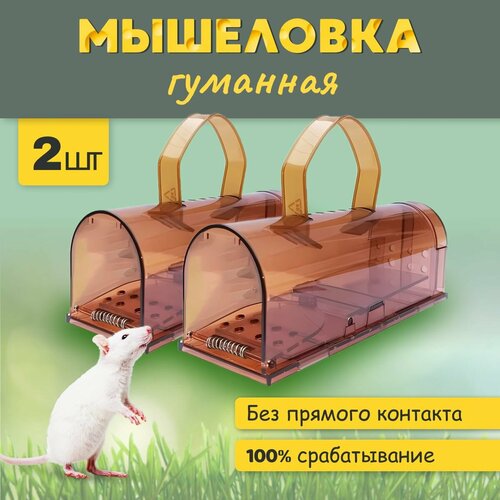 ������ ������ ��������� �������� ����