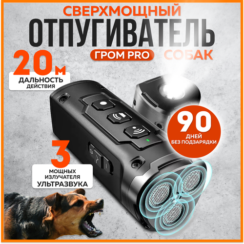 ������ ������ �������������� ������������ ����� ���� pro ����