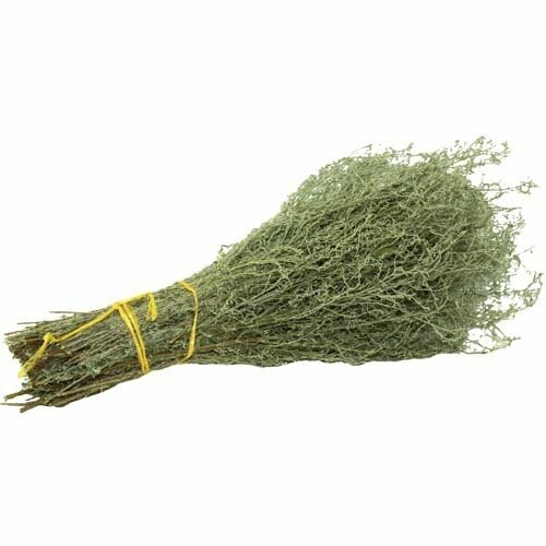 ������ ������ ����� �������� �� ������ ������ ����