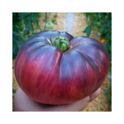 ������ ������ ������������� ������ ������ ��������� ���� ����