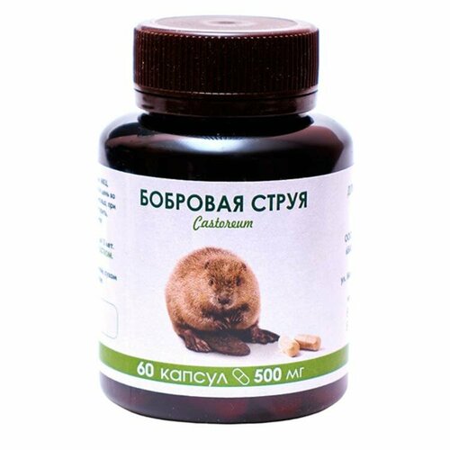 ������ ������ �������� ����� 60 �� �� 500 �� ����