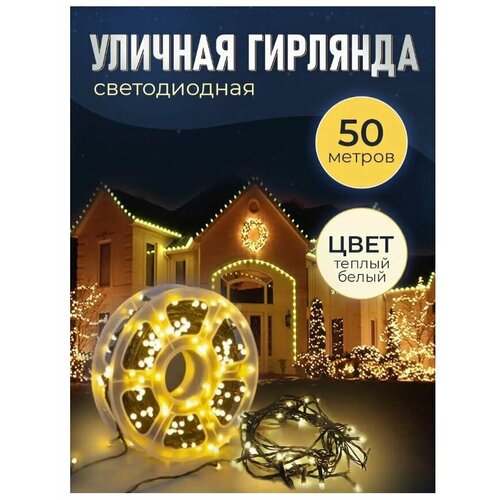 ������ ������ �������� ������� 50 ������ / �������� � ������� / �������� ��� ����� / �������� � ������ / 240 LED - ������ ����