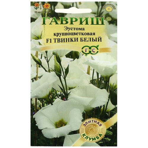 ������ ������ ������ ������ ������� 