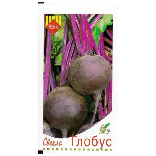 ������ ������ ������ ������, 100 ����� ����