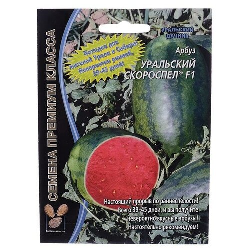 ������ ������ ������ ����� 