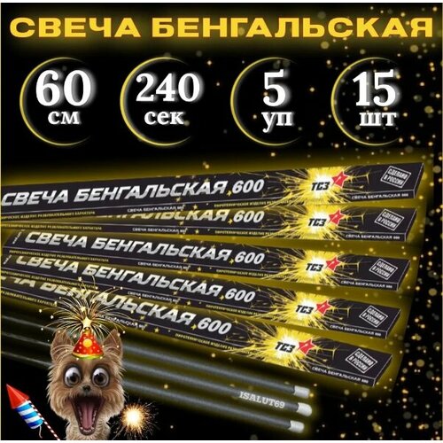 ������ ������ ����������� ����� ��� 60, 5 �������� �� 3 �����, 15 ����, ����� ������� 240 ������ ����