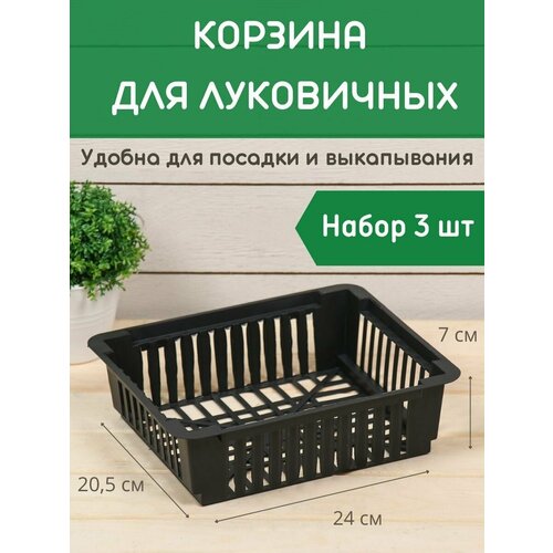 ������ ������ ������� ��� ���������� �������������, 3 �� ����