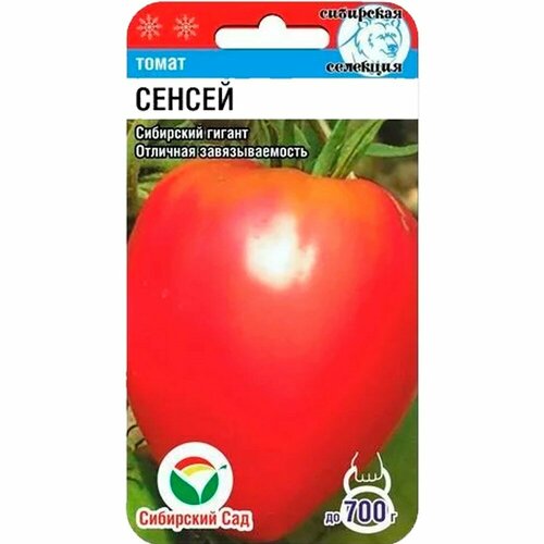 ������ ������ ������ ����� ������ 20�� ��� (��������� ���) ����