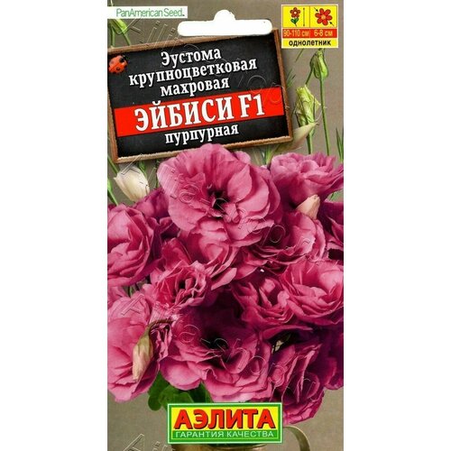 ������ ������ ������� ��������������� �������� ������ ��������� F1 ( 1 �������� ), ������ ����