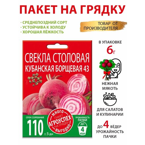 ������ ������ ������ ������ ��������� �������� 6� ����