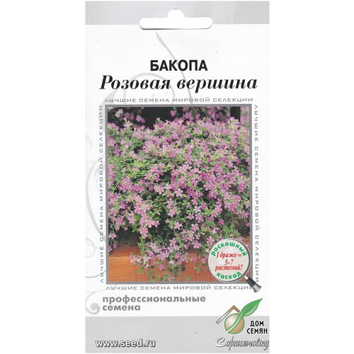 ������ ������ ������ ������� �������, 3 ����� ����