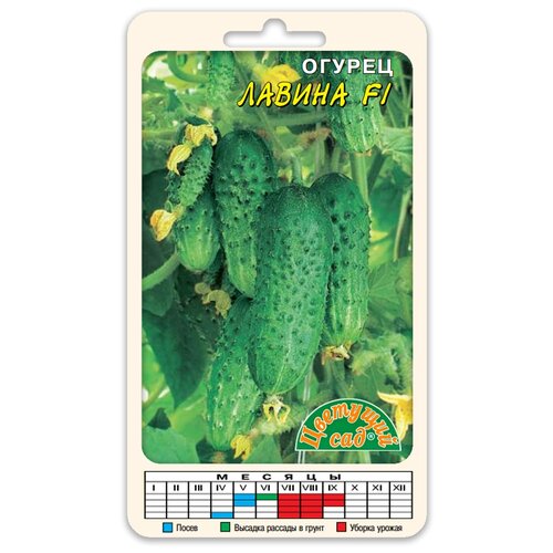 ������ ������ ������ �������� ��� 