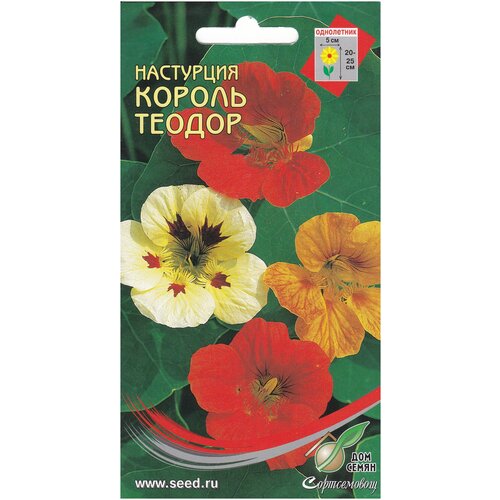 ������ ������ ��������� ������ ������, 10 ����� ����