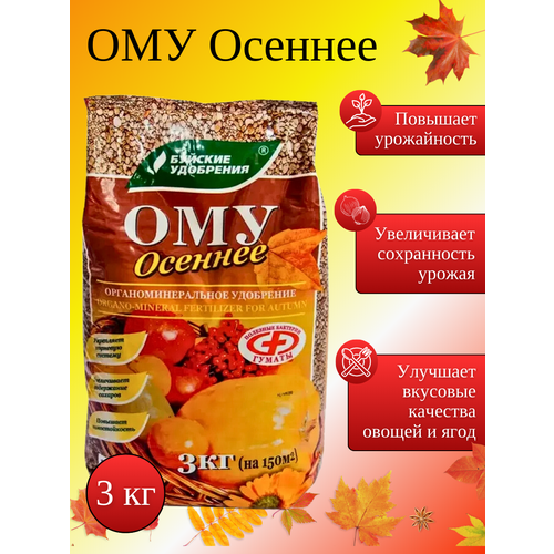 ������ ������ ��� 