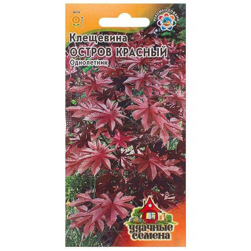 ������ ������ ��������� ������� ������ 5 ��. ����