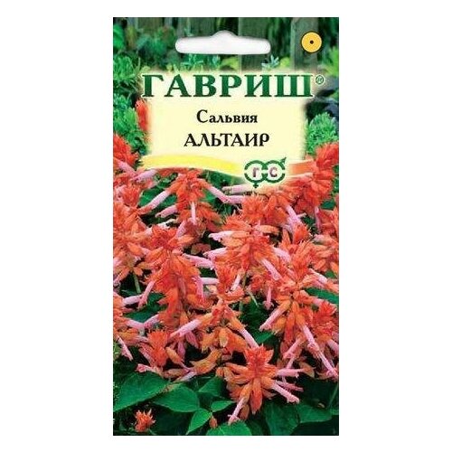 ������ ������ ������. ������� ���������� 