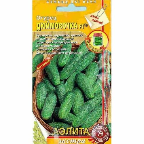 ������ ������ ������ ������ ���������� F1 ��, �����������, (������) 10�� ����