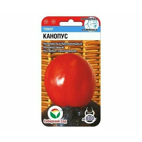 ������ ������ ������ ����� ������� 20�� ��� (��������� ���) ����