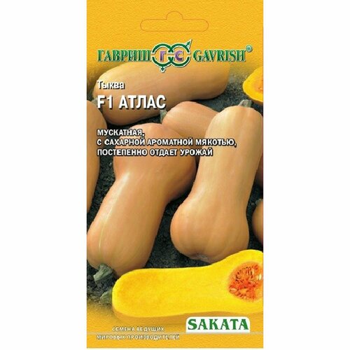 ������ ������ ������ ����� ����� F1, ������������, (������) 5�� ����